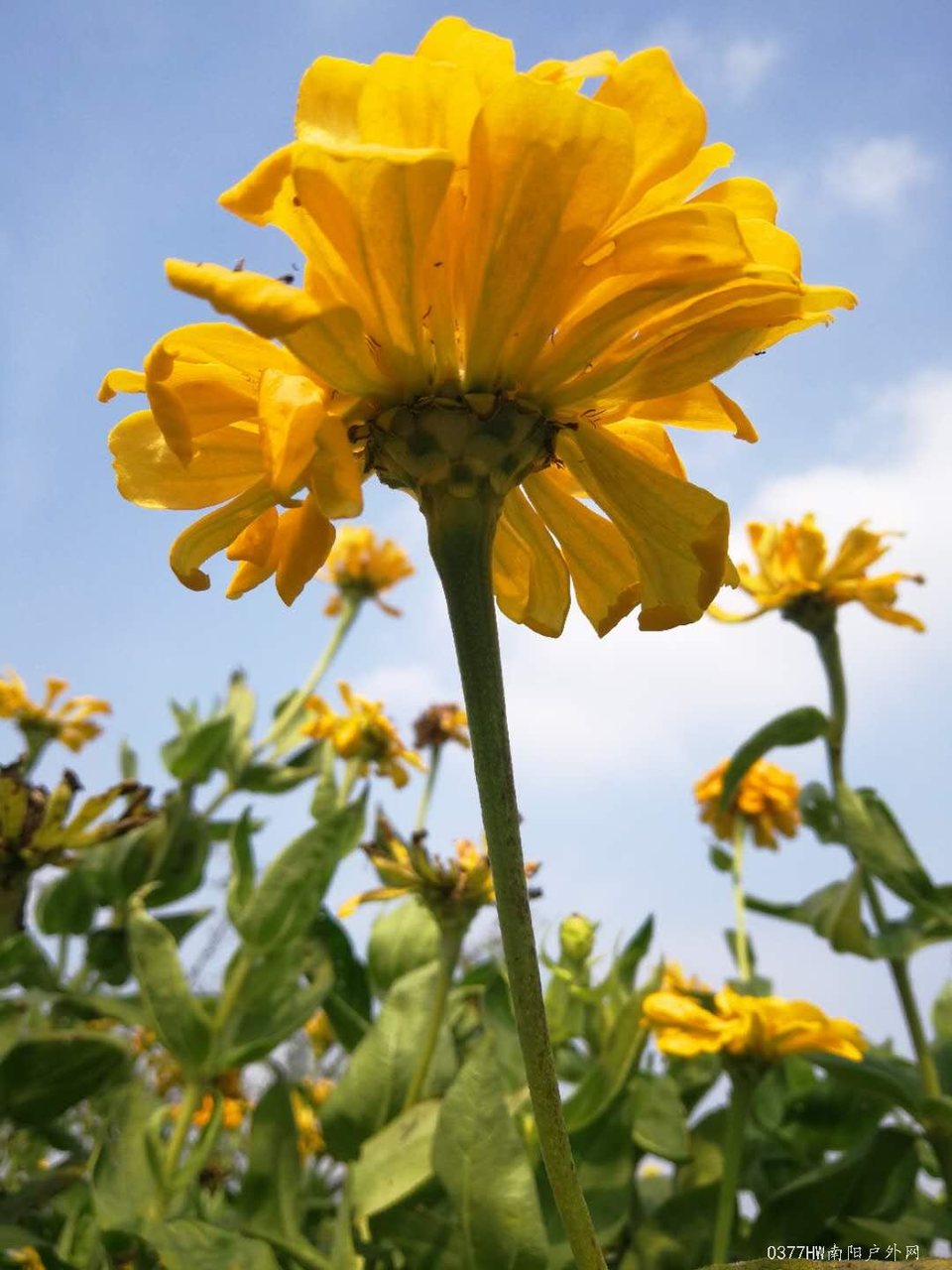 XEz_TonNoq377ShTkfxy5j0rm3OP5qkeSor8gf_rsOhhcYLHeTD5Am1UxlQIoCpp