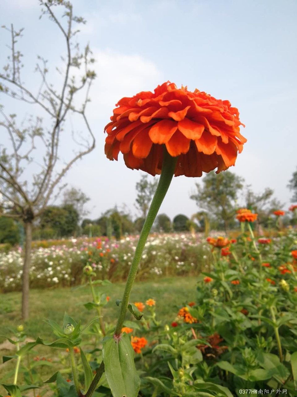 j5Wo9-Ern8r5i_YrEyW3q8LRGJxAfg7779Or_9LxXUEe3ZqG0MoUUd2J116LROZX