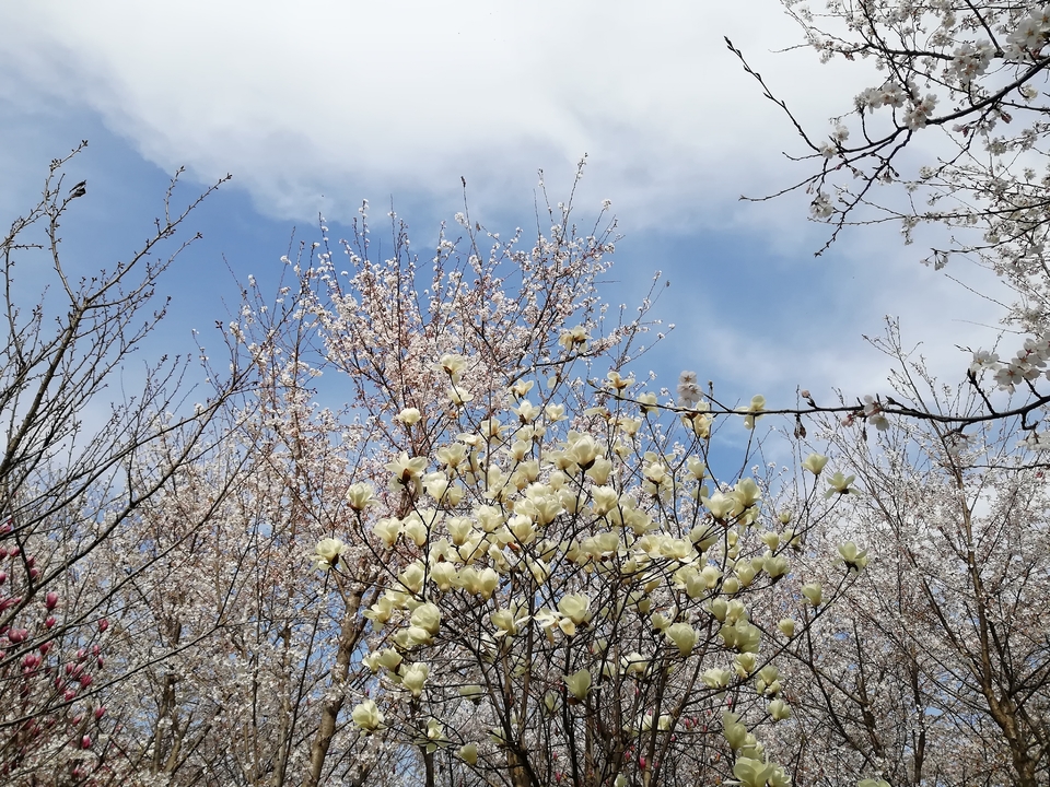 qyWC6UfvMr4DW5G2a9LcxLzNbFQ8VmFJK-x97hbQRESrT5THtHZSXNP6b5QJ5W71