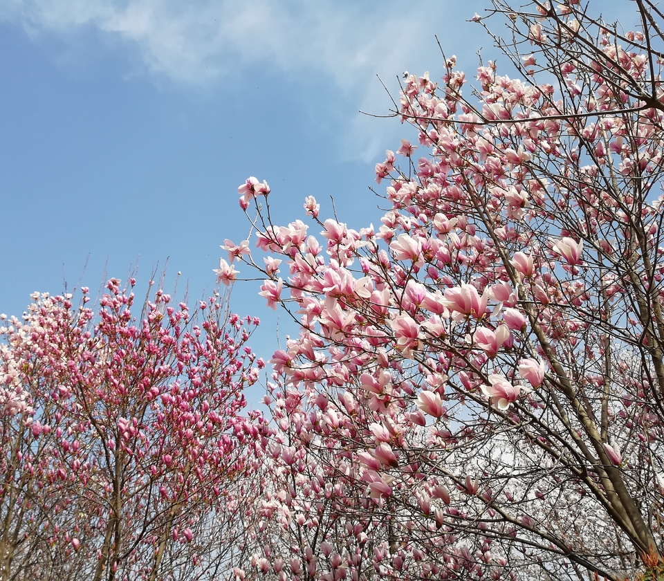 RsrvQdxhuGgwkBWeJsmAcaR0P48sqMVSzYxktU5wPLeojnLmqpLC2byDVAnJso55