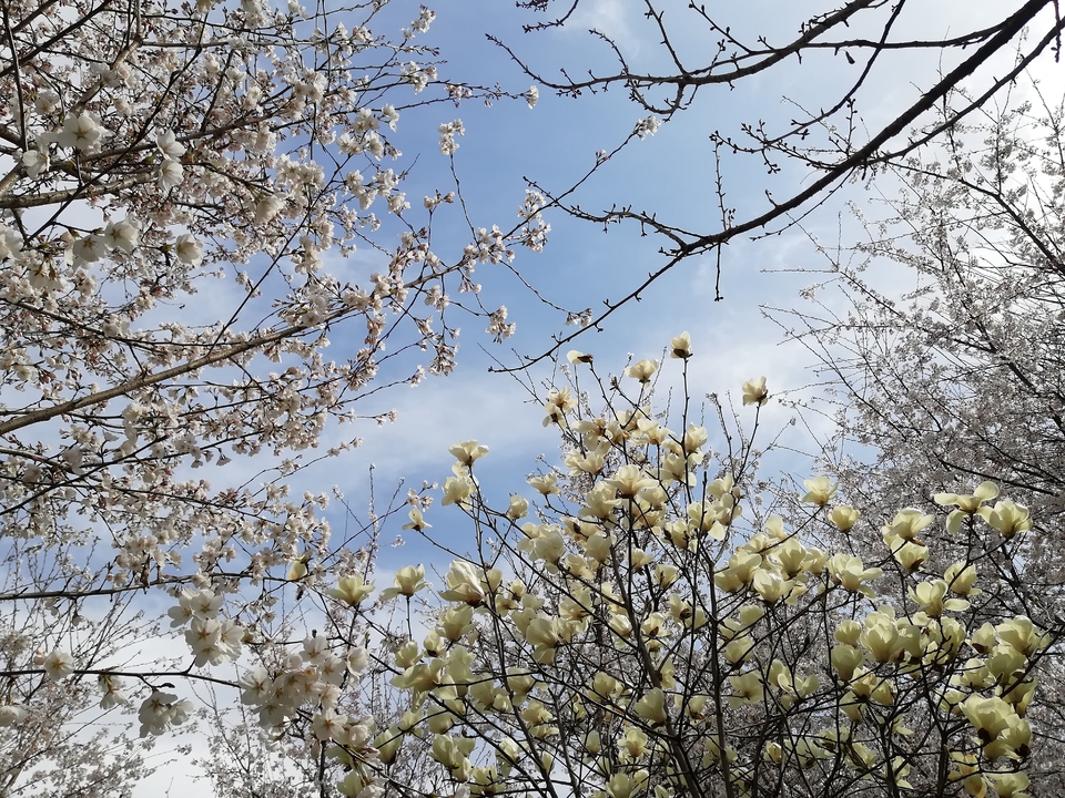 CaeqPxWg8juhnMPsVhJGCRppPrvVXrbpr96fMc1NVVzbwUBfDboqeIV5KdaLjpC7