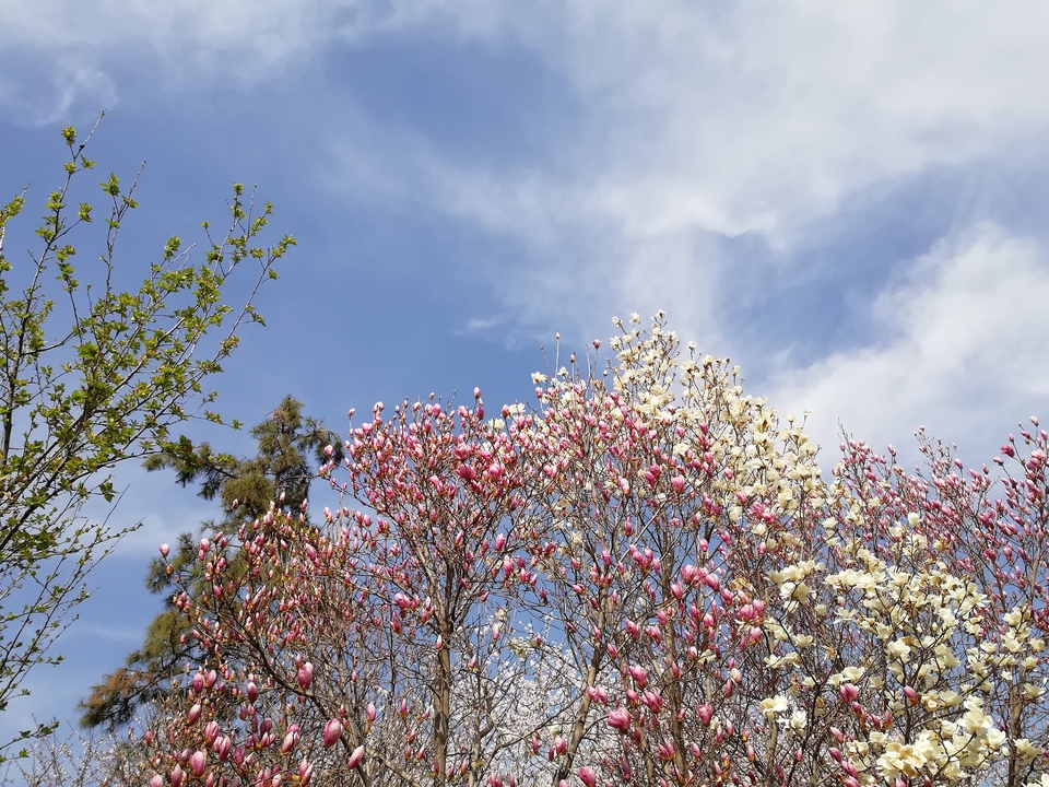 QOTWo66HcfR2TEgrTjy-ExZL88A_aGHkPmlP_j1ZCV1nu-7khNs36FXRWgZ-ZYag