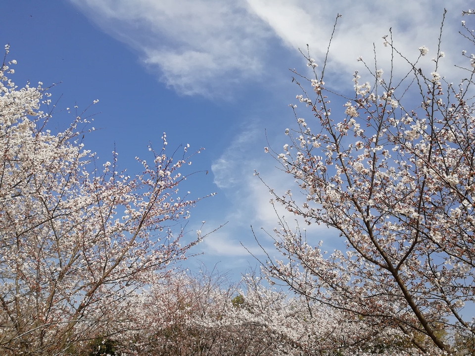 NF9C-naoWFGDNi5OXQQRazVhSgVB7O5WGLLSQt11je23hICvYxJcanttuFsjNfmM