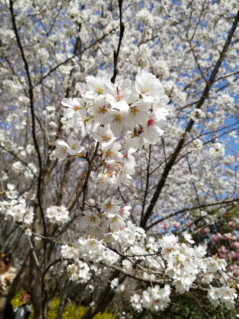 xK2x9GghBIal0iuanzWCtdzNpU__dQW6lSMZSdFRKdVSLWw1-dytvCkWD-0qtd7P