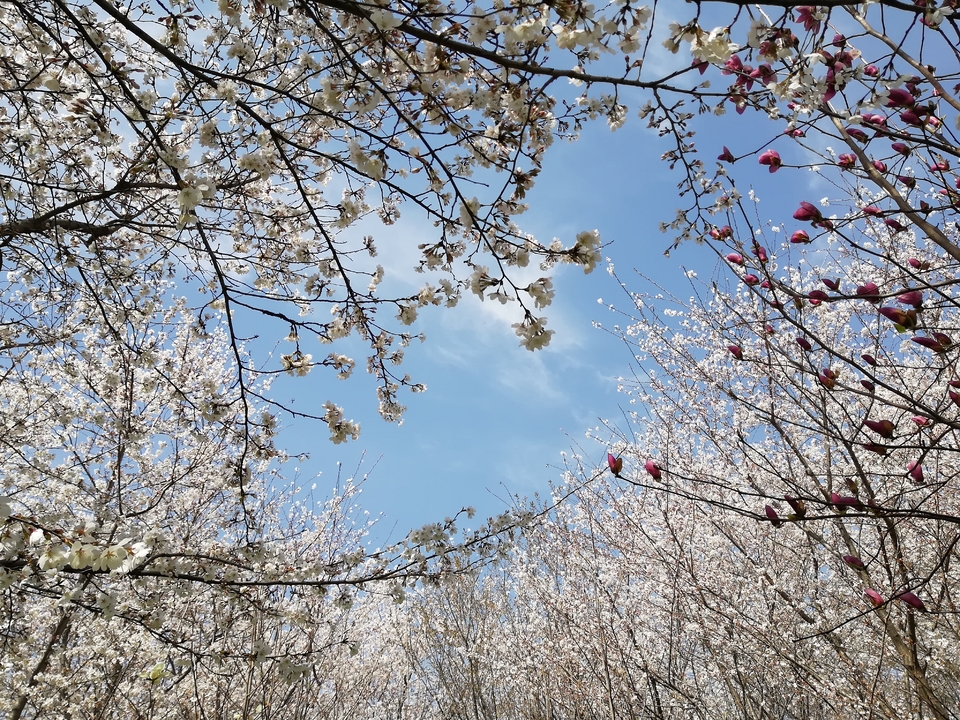 h8YEsYuIycU7qQAjz_A0wbOvqtaH03b0wWnOASnxCj93WGVnMWPmblefXPgmcyie