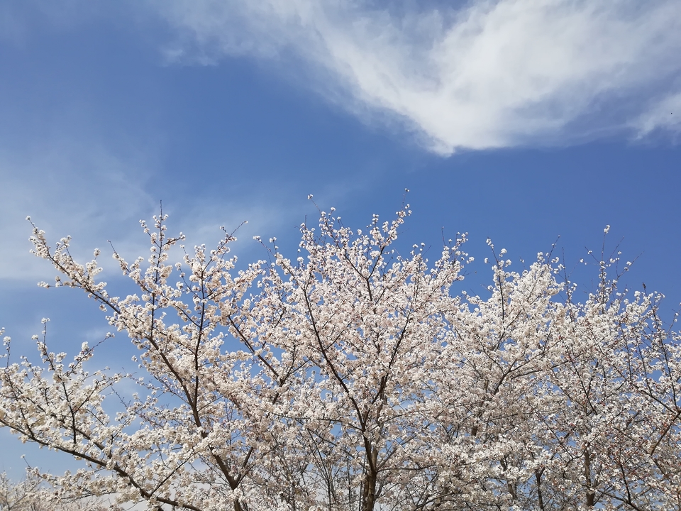 qva4yorPYqLjxHjMpgVwF7Ox5BvHobmPm420YubmDgG6WX0vWutoKzxpplswhz3D