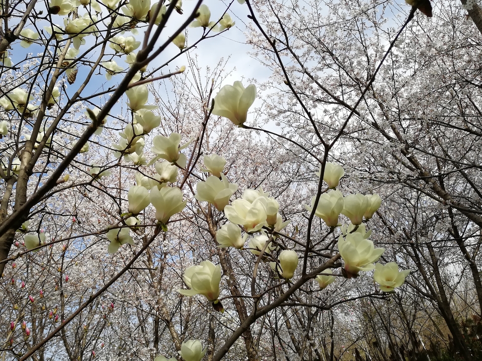 CHsoyEvcJlRUeY82ijVc53bs1v89w-ZRrAlGdO0yZ4K66JV71_D4zr58tK2MCev-