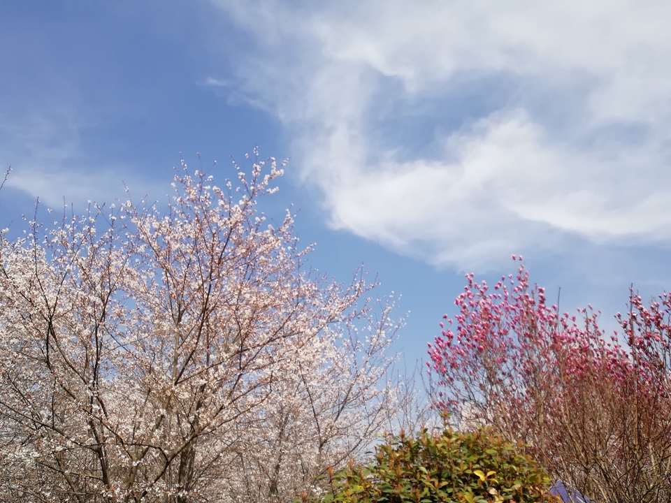 lZ9NJ6lJCneEMw05hCc2RC61SLjYOxZKpUUKM3XEo1E9Gt9u9_Piw8GJsnuoBLDu