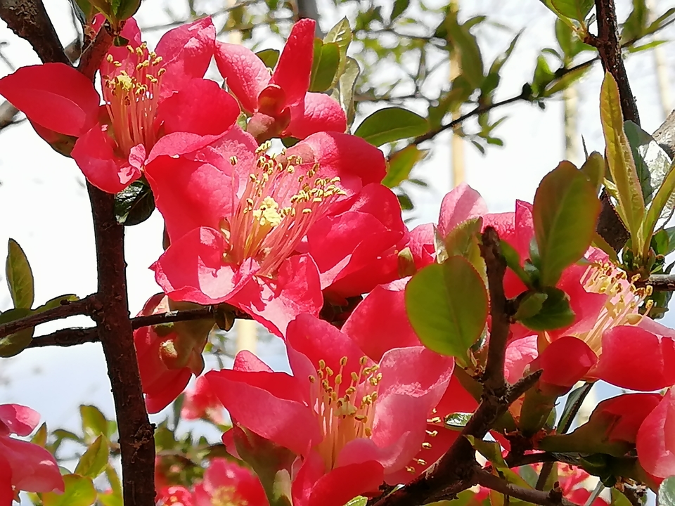 -y2BJpFbI0GpSFUqehmP7Va31pOyntSYYFxJoDwPnNwSGiCPROC-vZ5miCaHifZA