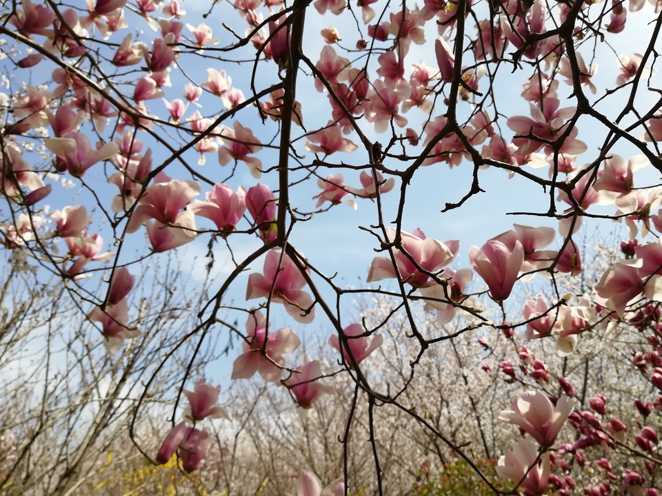 79PkOddeu8yu9wrY8vfLHjVKKohsTttNEQ2NC96Os4iP-roOLtSlnl3lKTl2msFV