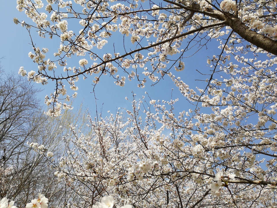 e82gjXDzO1A9bo6yfNkpxq1v6W7Y33s8pHqlki7NTq8hq-lsdiRPOKv_CFqzMm5D