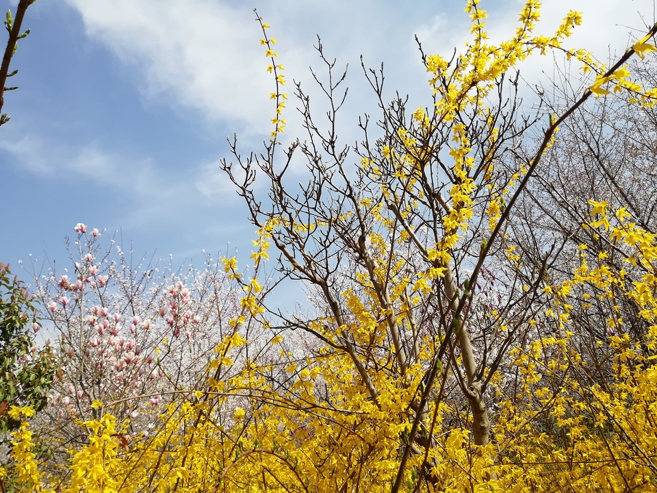 F_UT4U9YMQzv6T_8p9jIVzr_3LhZaZCpLOEXu1PY1laOjdgOlCLnsVONbBsTSStR