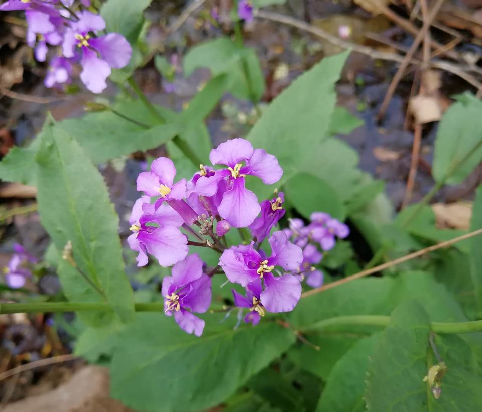 0EdI4krRTTrbshXuBG2-46tXi2Z_BQDCviVFIl6xUgMiJNt7majTFFyiVk0kZje8