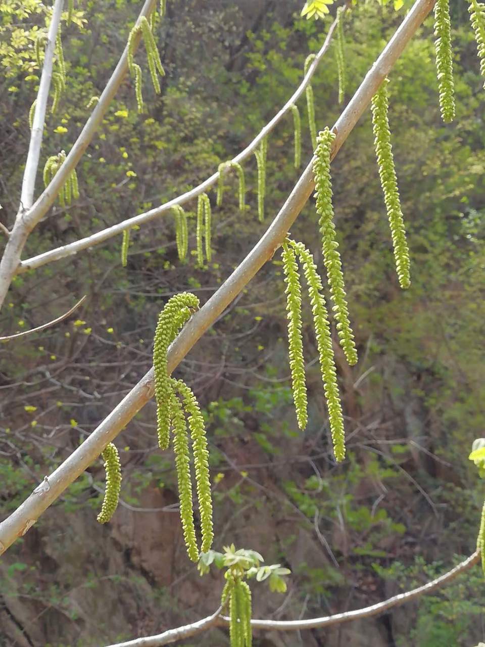 8SG7Dyo9mFSATI7tQufucelnF5u3RDWI7Qyl_hjJisF5dEM3WUVnJI_fqszn3BUN