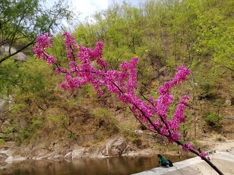 jYnf5Q8t_ejlTNmQ3ekIPMAj5XsYjMo6o7uT-96bE_yvs7AkdPxVYTlxOtOak12n