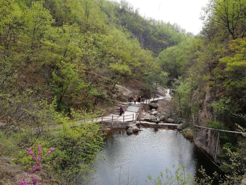 6asJxmXGIjPhs5ag6hF8HJptYvyX5kVhGwRezxOEmoi_faYfAoZTL9Z1F1yI6HXX