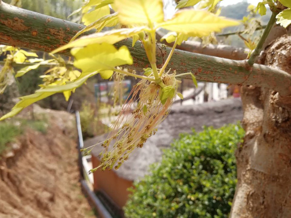 qtNpfT8HCSDtNFTXX9YI9ItjYVT-UDAltskHP-4SAMue7NWdsl35xkGh1F7w7gc6