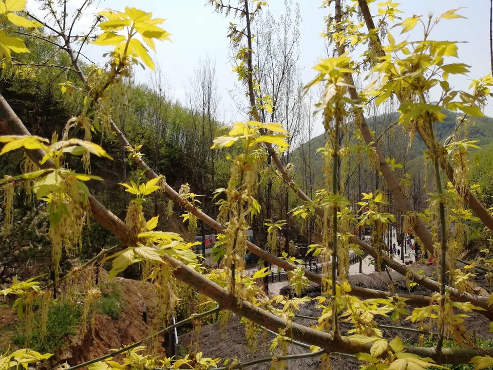 otPa2wii1nUjnVsX3s40GNqPNOyC467XPHp88DXRPdvxTldDMeL5fuymvxQ1isZ3