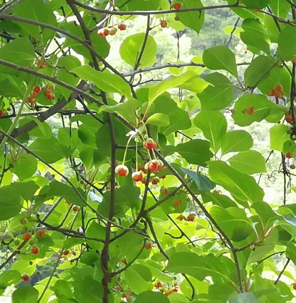 BW7BAV7yKZi6y5zQfQ2iL3dnQ3D9CS-VxvP_fE82NB64tOvKkiF1L4bKKJnwxlRT