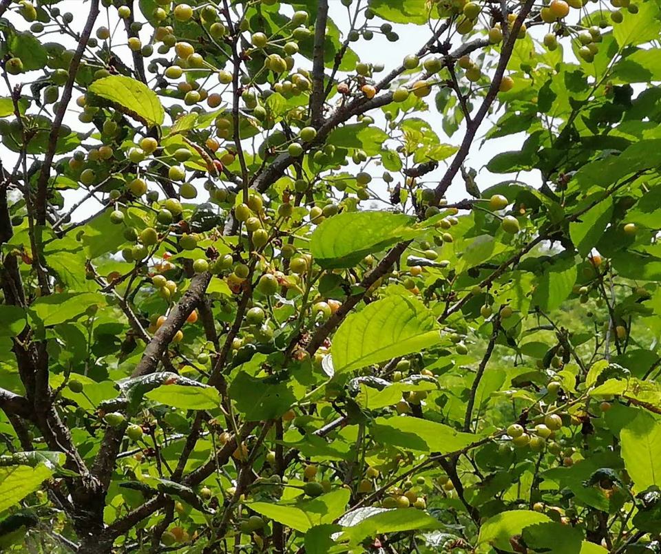 4PdT2aE2iLYXVfv4gxotlISLJbsnE-ReTvRDaZz5gY7foJj2pYfb_-MEPHgbHnm_