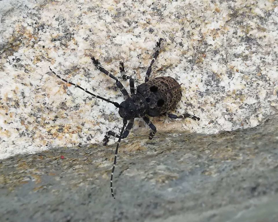 ajCwkWivdPh1tjQ64b_gJl9x5-MhpNM7a5NNgf7nwgsgdBf5vYDaexEzKjX6hN4v