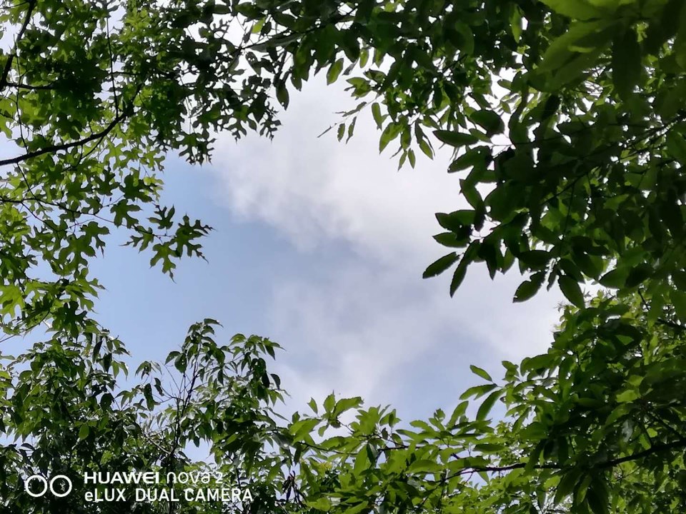 yqVqfMmURLfRD4wGAkFp_Bxs62L7ssUGXObDlhzUVJeoYOVJKKqwe5mAc1oT6nVc