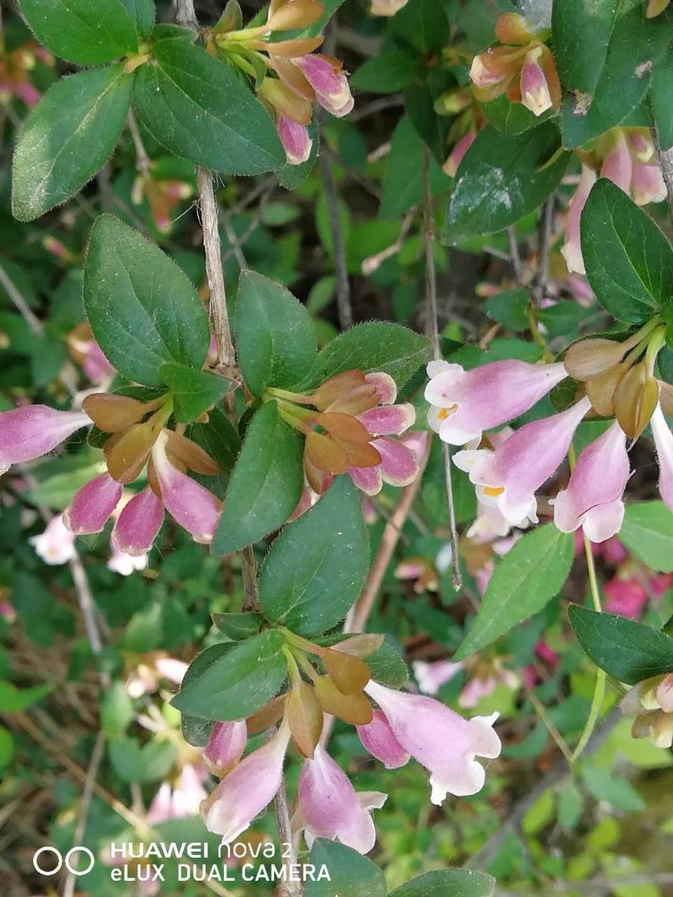 EB-7ZsTv7yAfPSo3SC-DNDZBOqh5X8AvRAw4dNWnaQwcemPIY4KH2XY_2nwdIw28