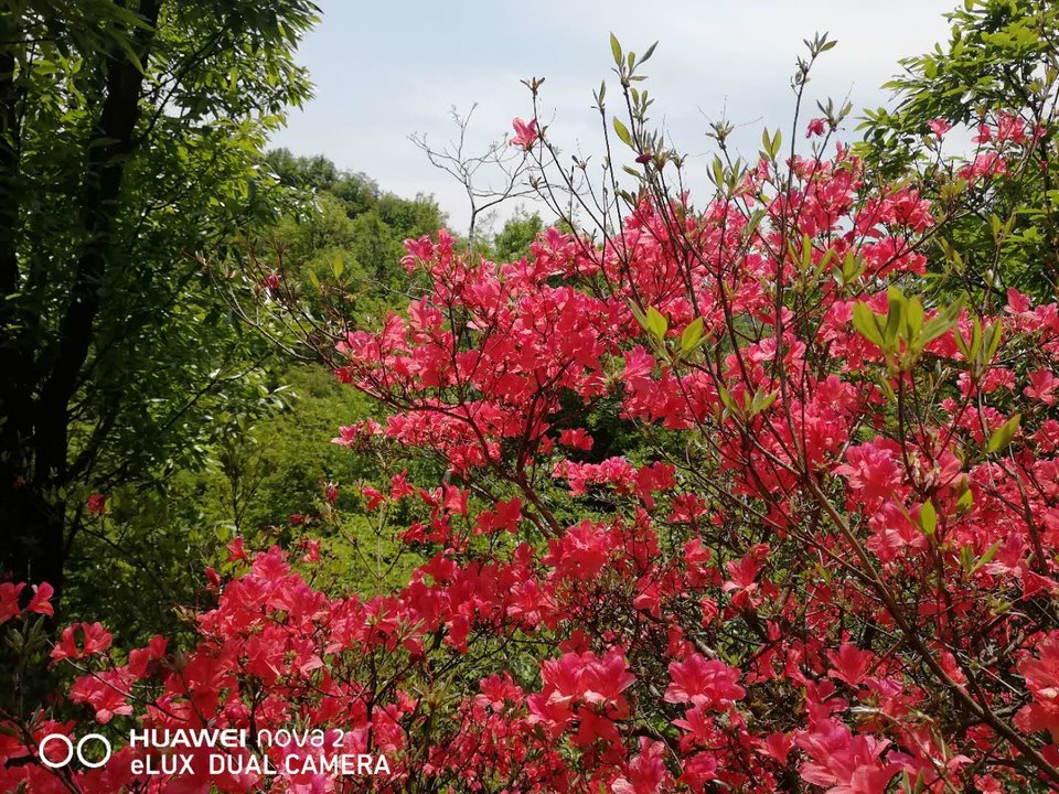 1x1SbS4d3jDrdJck_uaqDAkwbs7GD2NsWQewla_xwx6tfOmLztyNQhpgVjP4XeQT