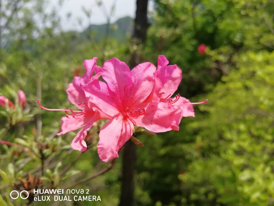 K72UnfSbcxKdgzFTa4kej9NDc3jSPM59-6Lyjfvf_G5Y0n9LpHTaHUS1IWLMoL5z