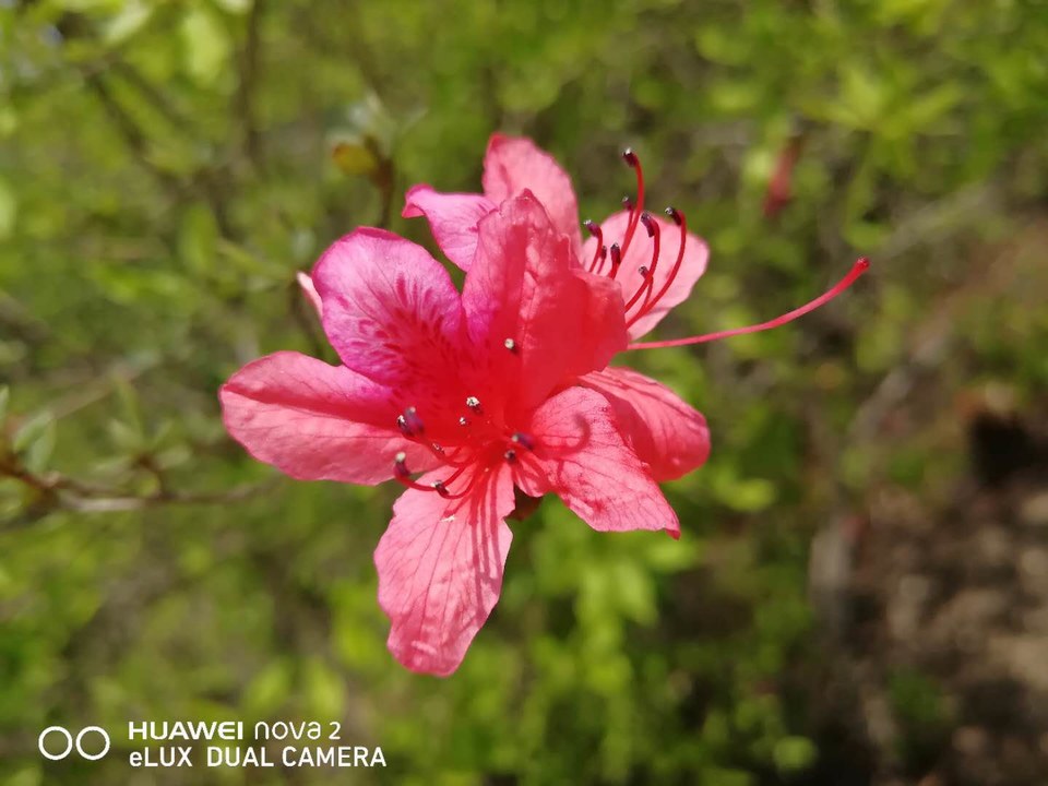 nDkqK9XxU_uiIsEqx5wWd82FSphw_LStlKHHsBBRJyboeGO_i6U-ku9I5coB40bn