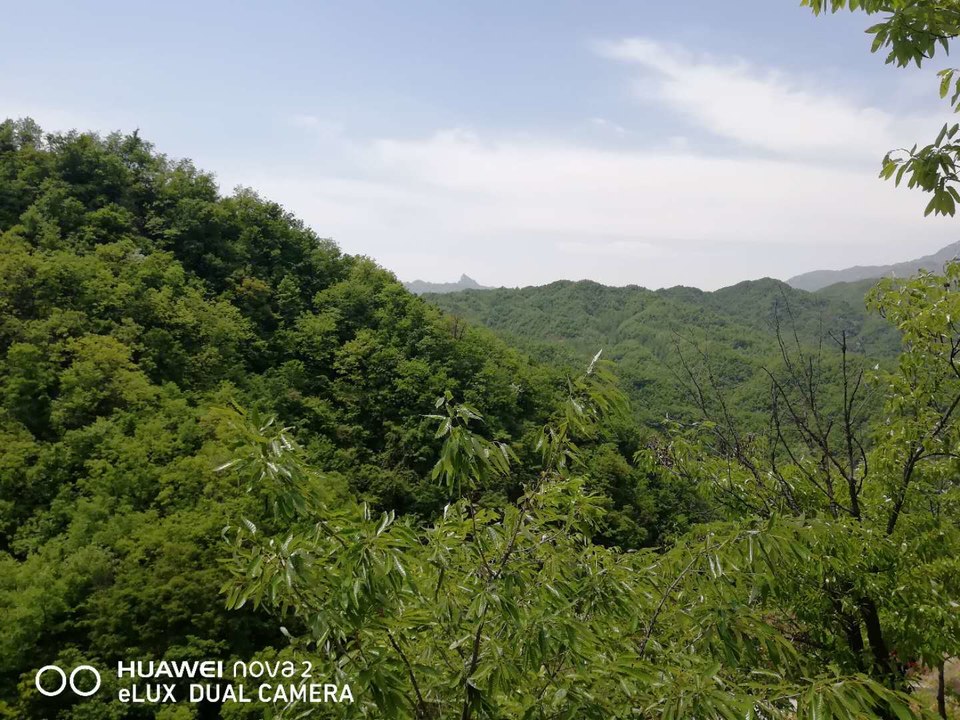 ysF5_zmsJuzhY-ZoHFSVSeiVg9gqrfapPg_2fxxJARqAM4jMZY_a_jQ7oNmoAJKW