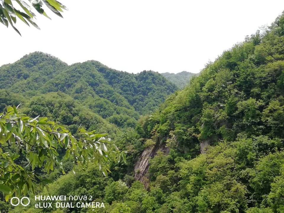 VfJWIFQarU3JdOBmU2IwLJvQYCLbZ2ZJGfYniCkaL_qEHlT2bR0tilJlf6vfO2bX