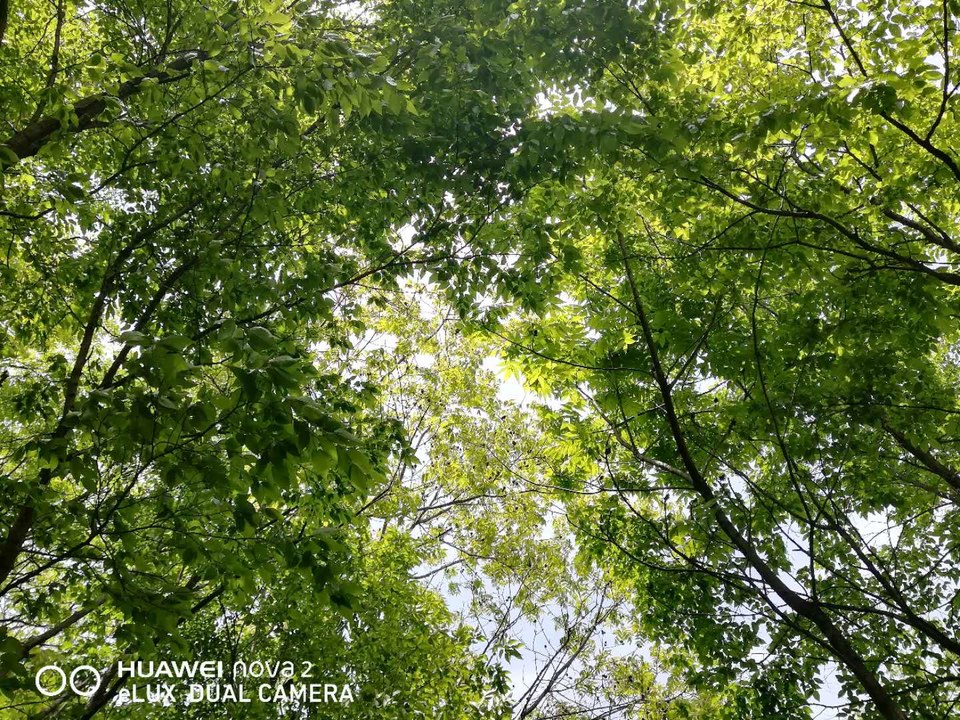 EO3mTpgUoJVkGv2W8EnQ2M1EgUR_STBVfni6QoqqCP65ZausJT2uOHEhnxqv_gc-