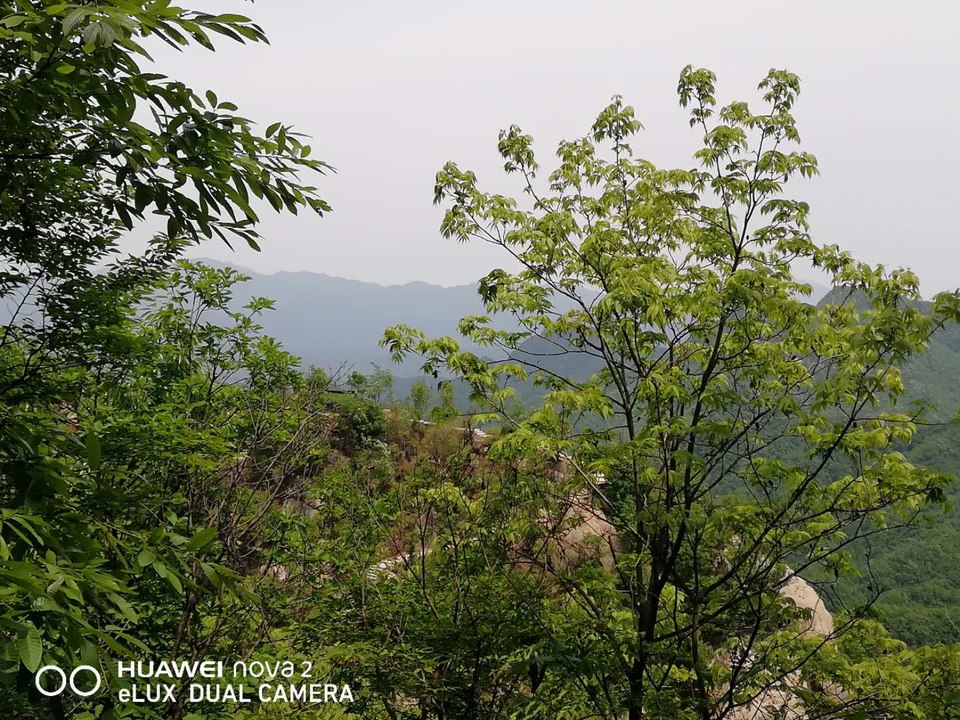 5fkJsILb3jzXsq-rgSUh-6HtduOIigJmlrjNF_ZumFl_RY2iopROsOeOc1Jgf_Am