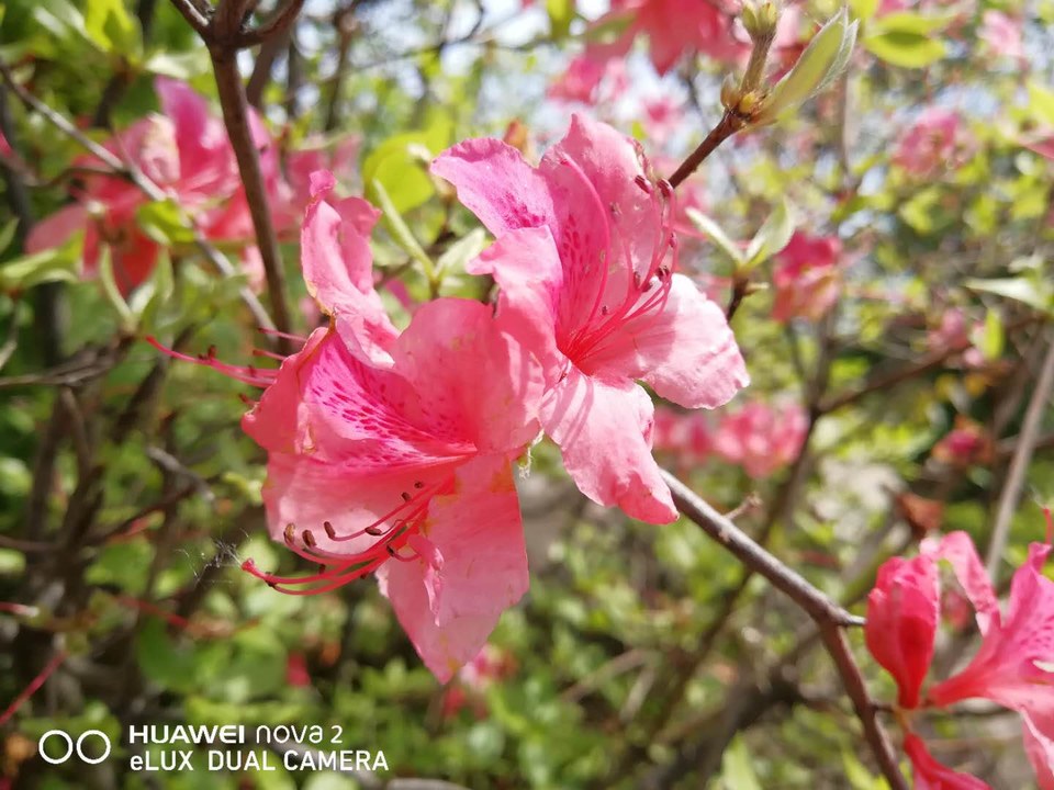 EBRhc_7G6vLnDbEhpZqP_L4Az2j1DKBYX-8sWBAzRz59EiMlMj8KE1ZdEGtE-6ad