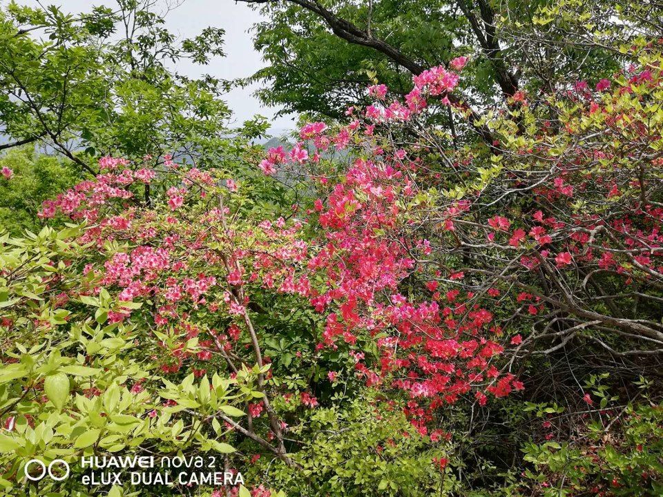 OjrceNb0uujJ_brWeQO05i09KcwQZgeXkydQS7Hebkk7nwThrO-LvETlaPM6zoVS