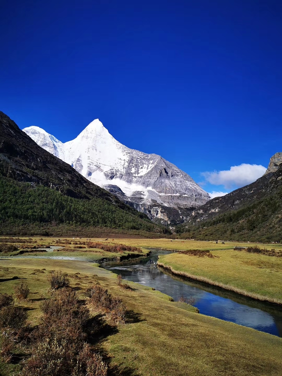 XJ8mQNJ5kIBGtiQkltBZgD_q-fTOjb5O0qL_nVqO5i3TBIt_6Y5gE0lMehNcBUrU