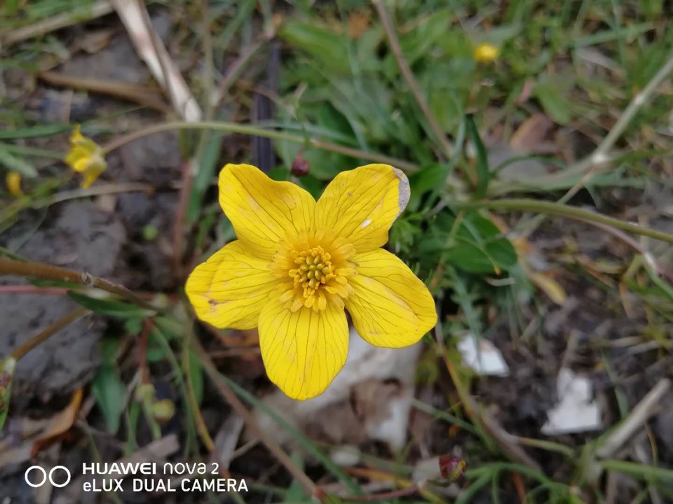 UPsyOtsaBHagcmptwku3PRnjkLY_QSjykGmbJoXMNUmDWD_PO4lAb-OYFgCyThOG