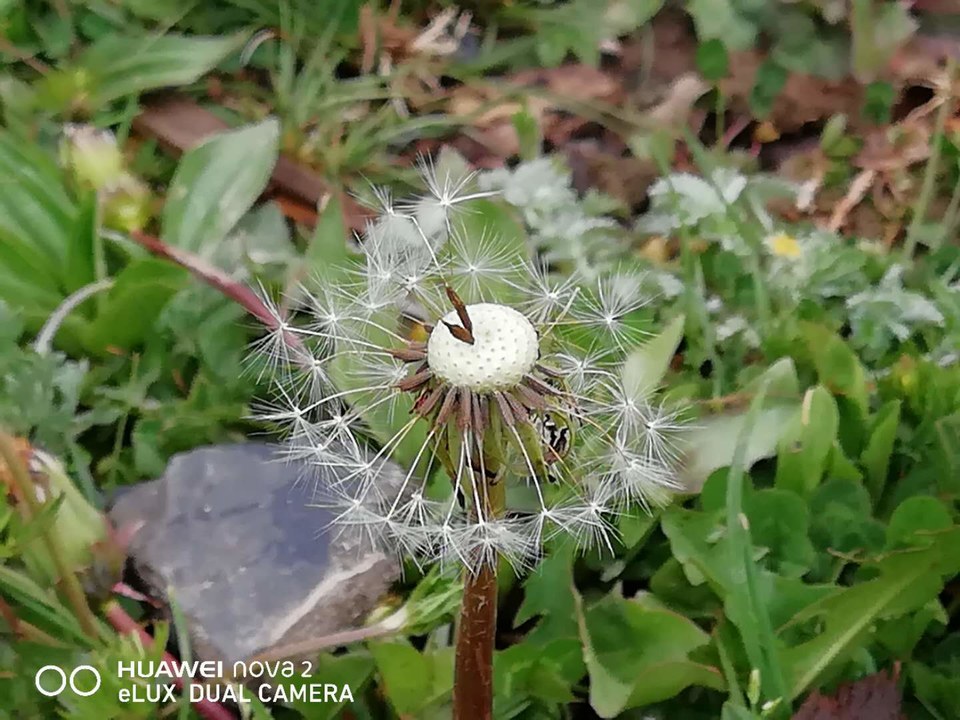 HZ-U5NUZol0rQGix5_-8n-rrG0LqcCvXYQo6ambvHJyc1dImJmiRGFseiDyyipN9