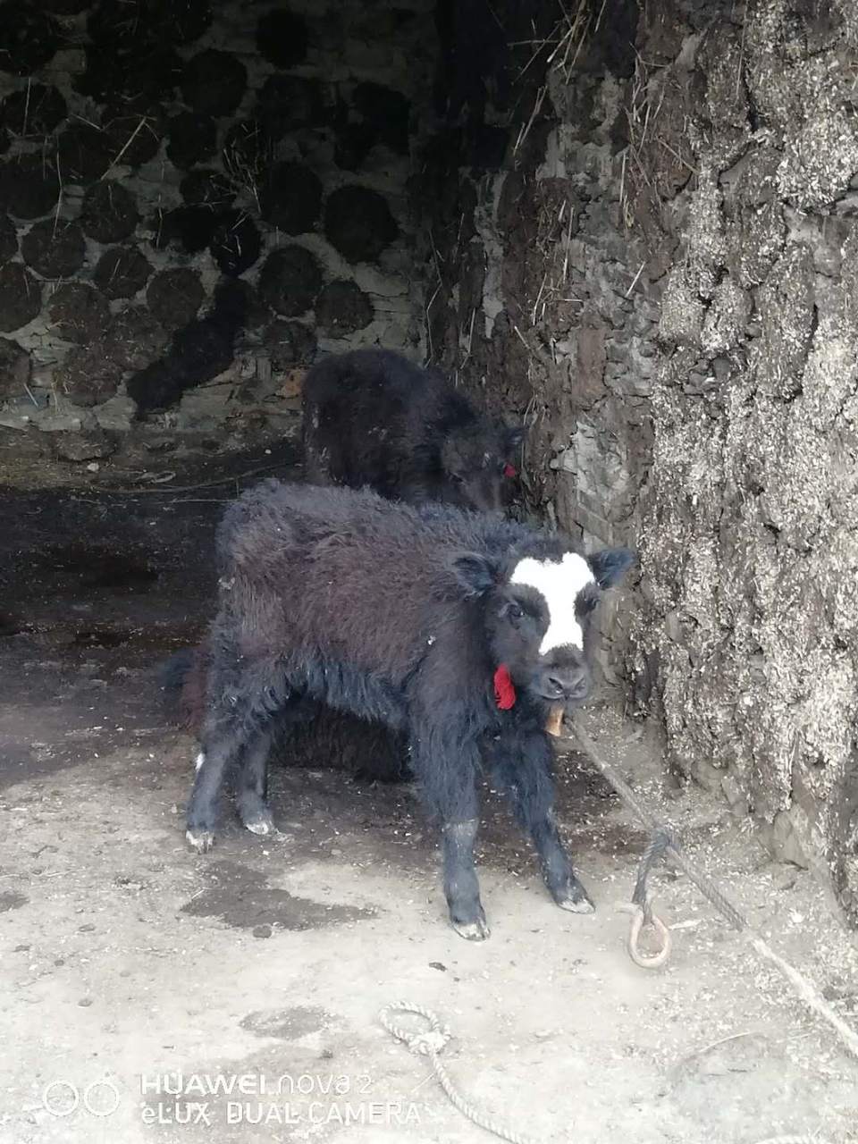 fWCkPqsTh1GUtSfOTFe9enXTDMKhIhxGBIIn67Zv3-lrLezSBFnpi5hFFRdo0PLH