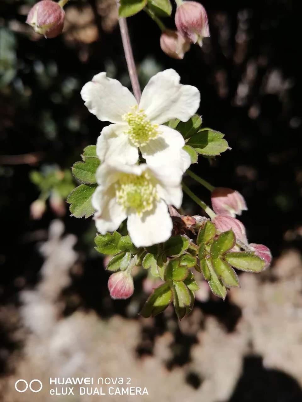 Sd662SSqgzv9o7fp-OpOJ5mNz89k8ZhuvKTD2iiREvNClBe9DwzkTR-xUlTz3Hyc