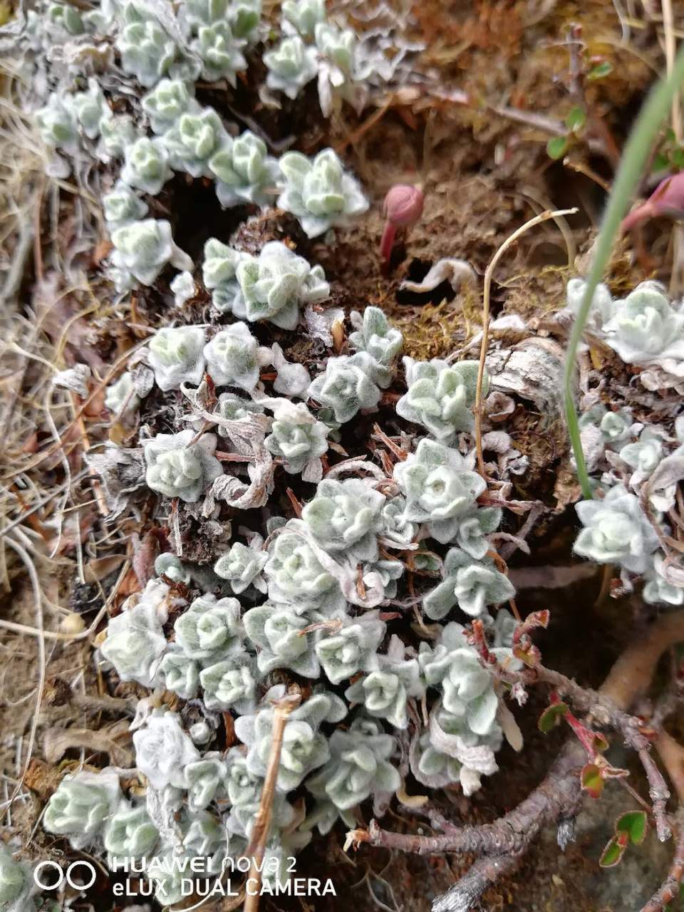 Fn1P3PrEGXYp_883oQvjXMhQfT2eZhoGap4gpW2SlzS7Jqzz4tN2mG_IjD_q6XJK