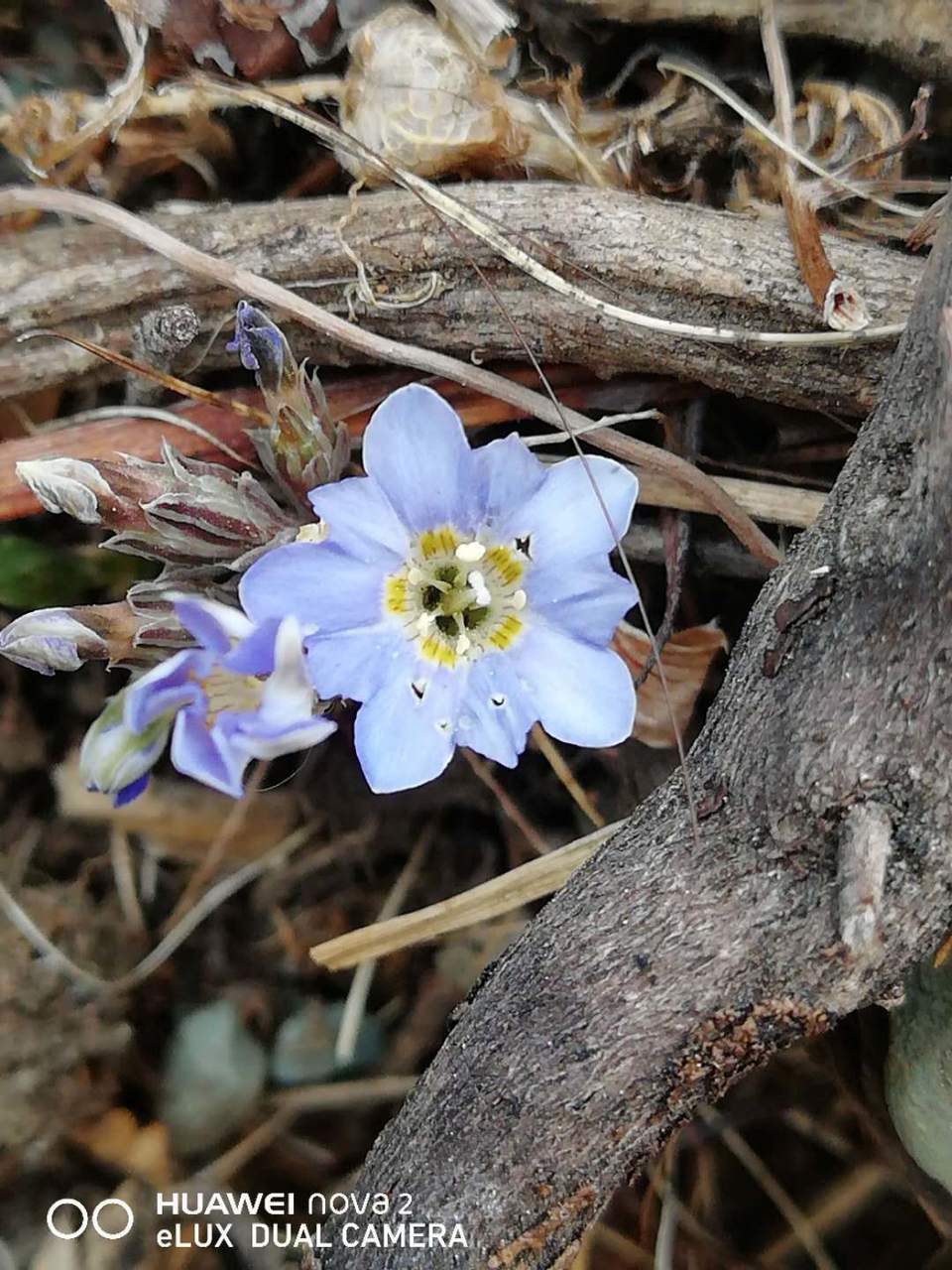 l8exyk2tJh8B9PQbKitNWJhGKatCuBeoyRmRBcQesGy6U0UzQD26FwEJBhuwkOU9