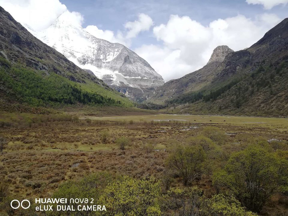 pg06tZSRI9I7Yx6w257_vrnrok6WKiCPHwbUbAVQEWhWCTNm6I1UrRfoZFNa-rId