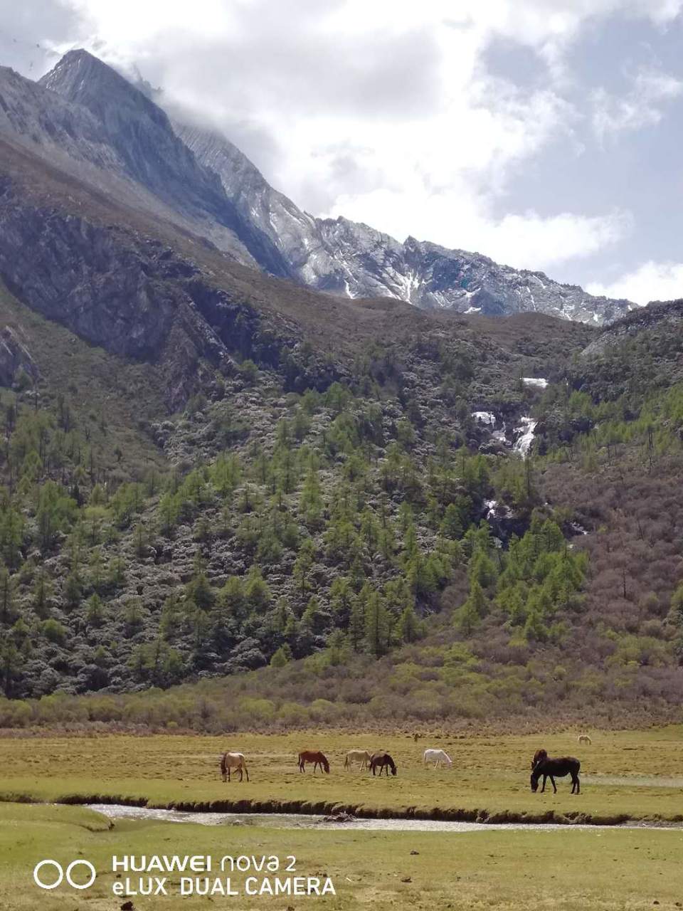 nwrgT9aZqbvoccTUspLFTAVkUMu0JGrrQrS2vBvsYkF922f9zGkMxY7Vc4NuDd2r