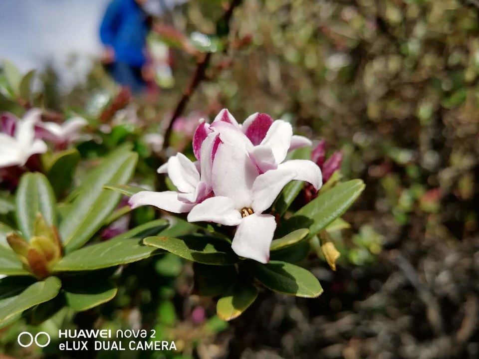 NIKPEqHe7g7C6bQ7YHQrElAXNj3GtB2QdFGm-mHPBcYQ_VGDnRGM_xGa07p6PutY