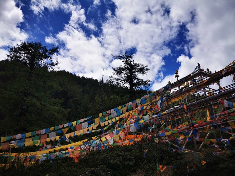 y8OVyMj8GU5kQwfrD93Nm6ZMzohKcc6IVbctxH1p34gPZ0ItremK1di21ea68rCr