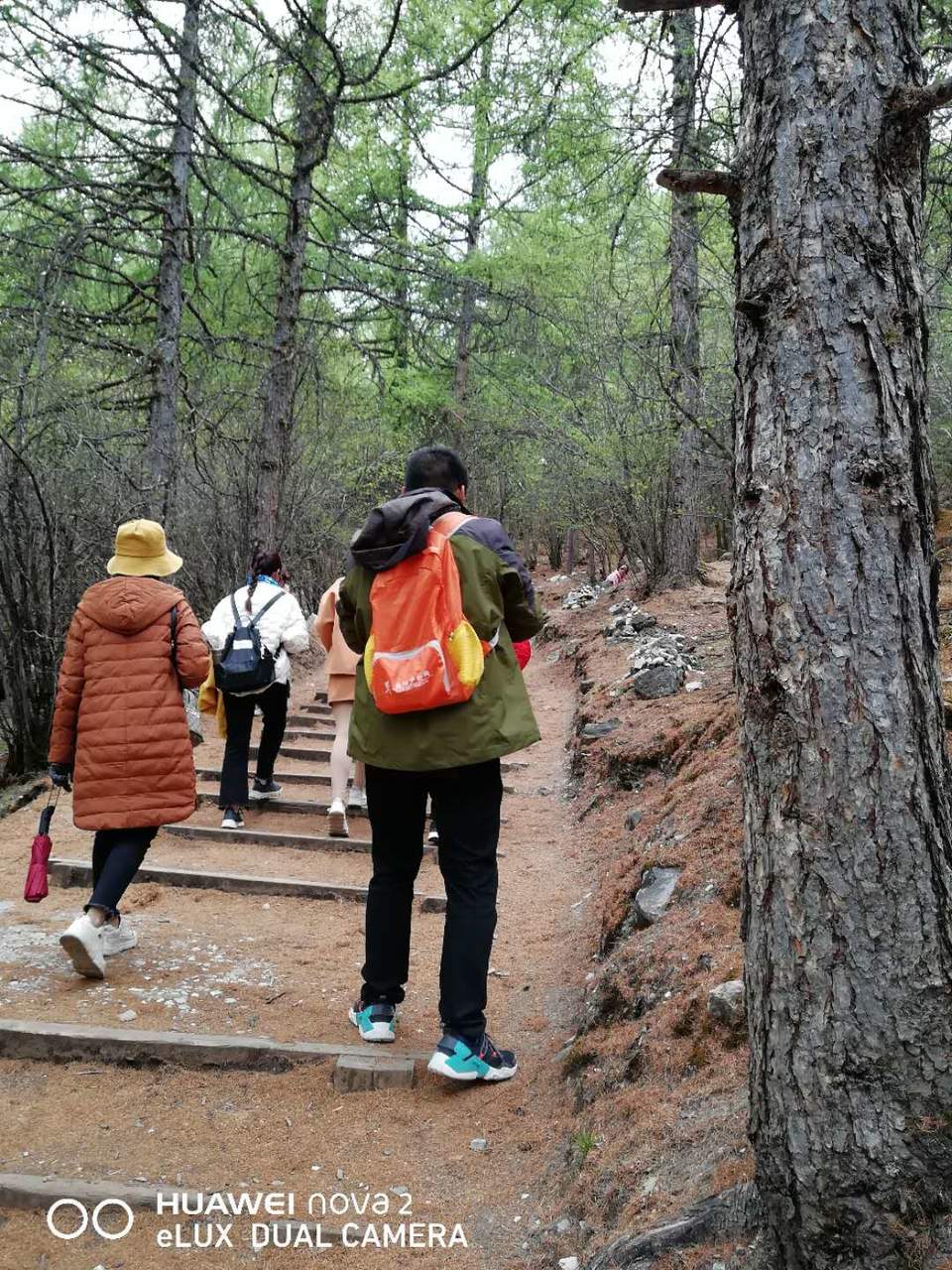 WiTeZ-ZFkbVZ4jkESukeJiSUb-F8mWLNaPKbdUmEVRdyCeTNqnATg0IqOju47NaJ