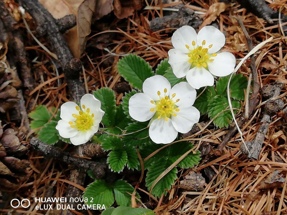 HbG2jR4meSeKTZ1YXk5d-25kLuVRYF3Hbtzclv_kan8JsHURxDl0S831XXHl_OSp