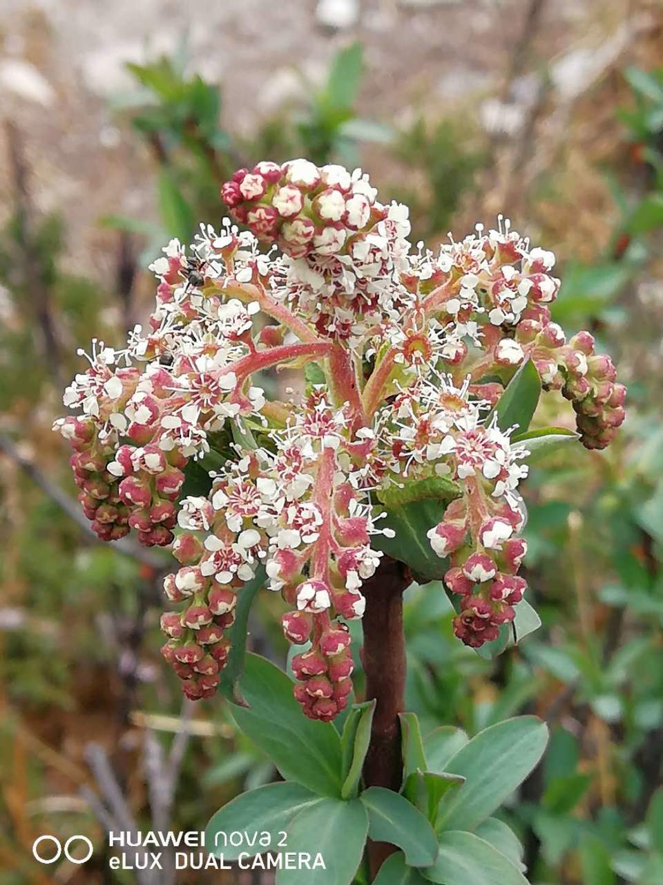 XN9nZ2a9UkftY6V6aociHovwol6aCwZfAXCx3aF2AYe-02Ex85Xtk7tbSRuyRUHb